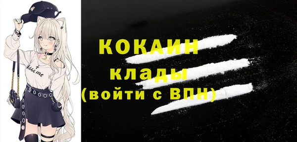шишки Бронницы
