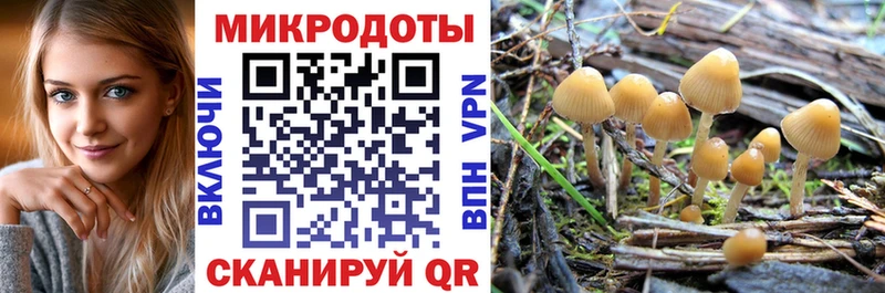 что такое   hydra как зайти  Галлюциногенные грибы Psilocybe  Грайворон 